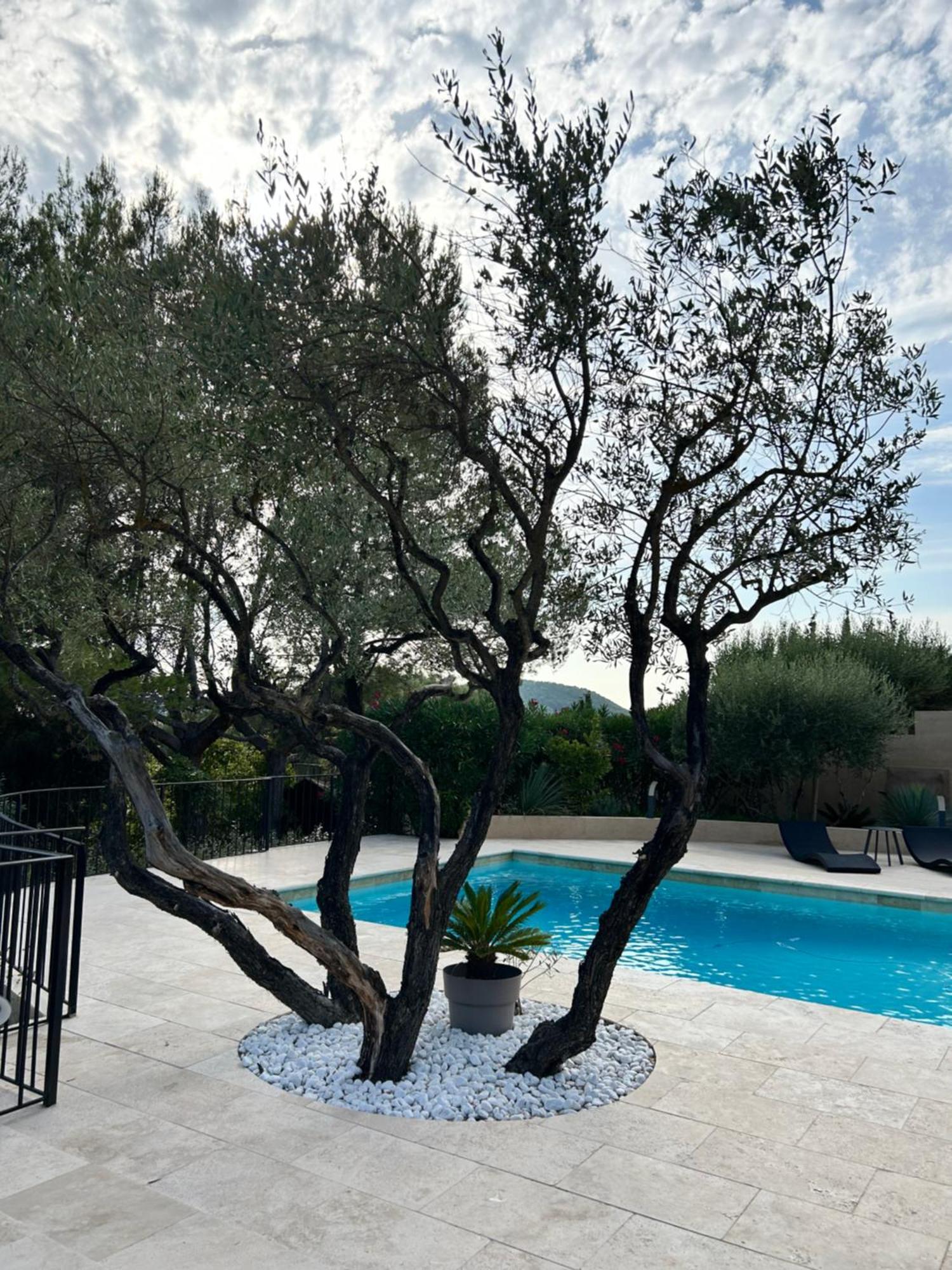 Villa De Charme En Campagne Avec Piscine Privee Et Nature Luxuriante ル・ボーセ エクステリア 写真